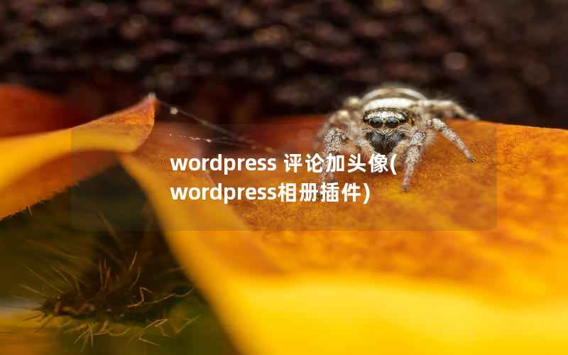 WordPress 评论加头像，WordPress相册插件