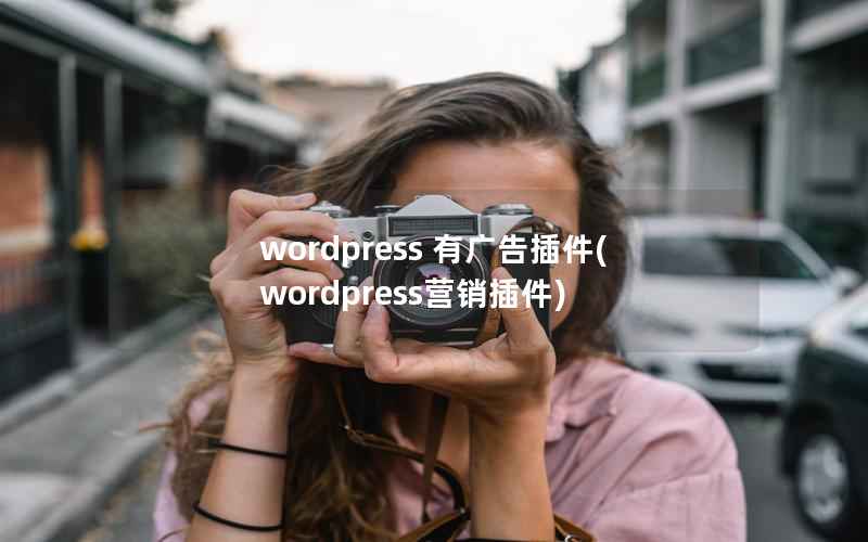 wordpress 有广告插件，wordpress营销插件