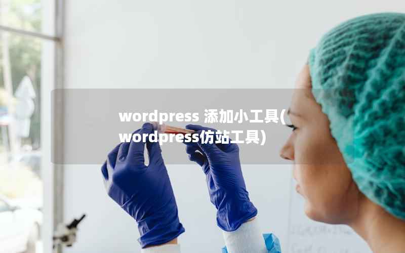 WordPress 添加小工具，WordPress仿站工具