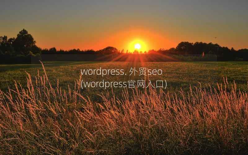 WordPress. 外贸seo，WordPress官网入口