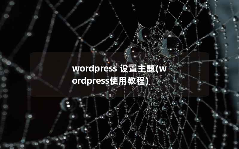 wordpress 设置主题，wordpress使用教程