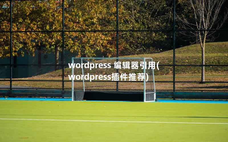 wordpress 编辑器引用，wordpress插件推荐