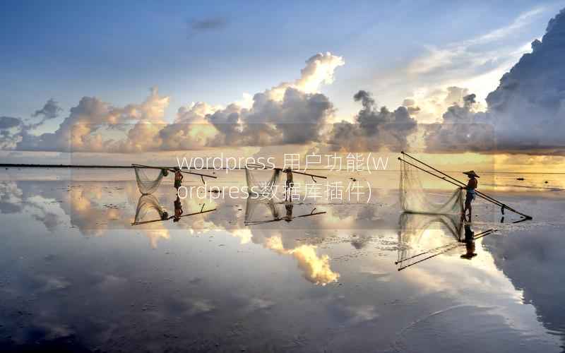 wordpress 用户功能,wordpress数据库插件 wordpress 用户功能,wordpress数据库插件