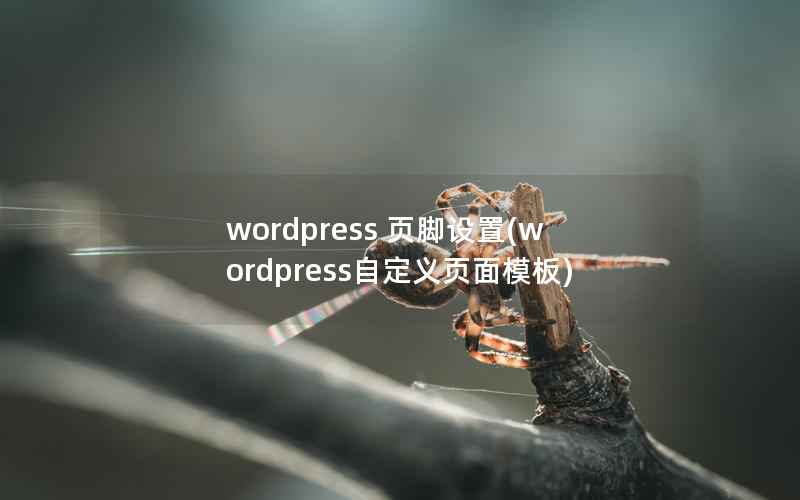 WordPress 页脚设置，WordPress自定义页面模板