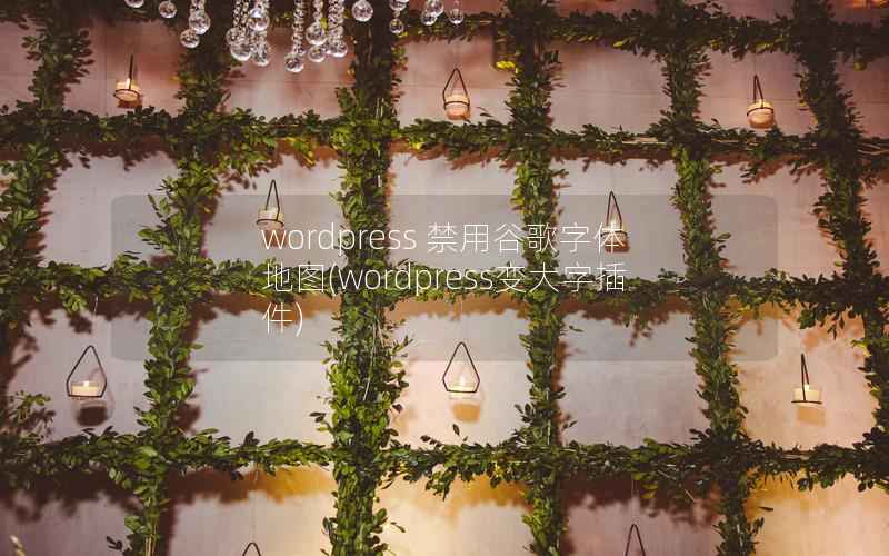 wordpress 禁用谷歌字体 地图，wordpress变大字插件