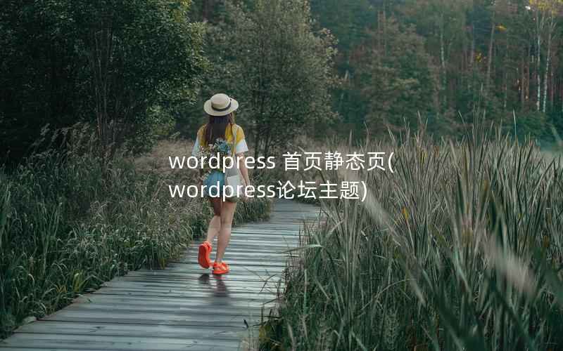 WordPress 首页静态页，WordPress论坛主题