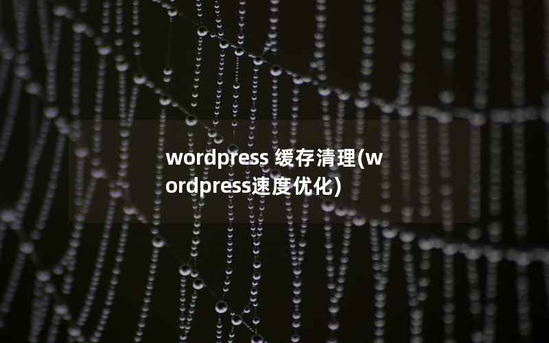 wordpress 缓存清理，wordpress速度优化