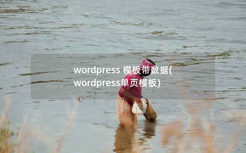 WordPress 模板带数据，WordPress单页模板