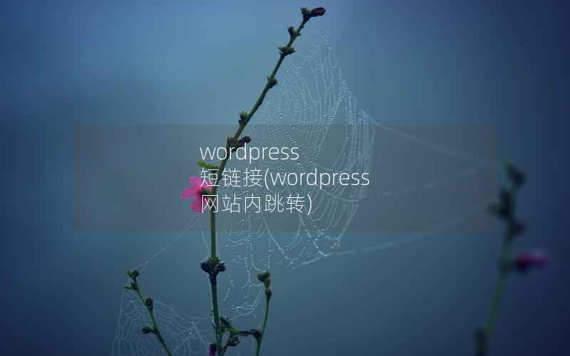 WordPress 短链接，WordPress 网站内跳转