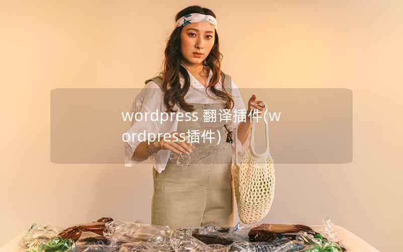 WordPress 翻译插件，WordPress插件