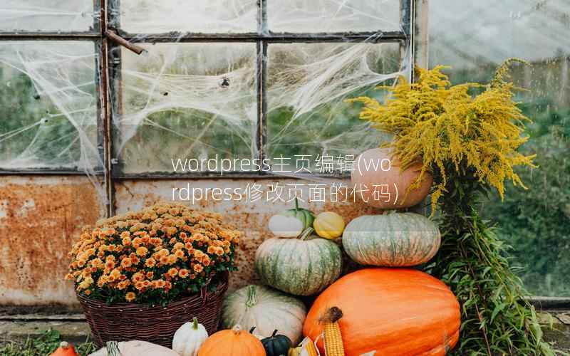 wordpress主页编辑，wordpress修改页面的代码