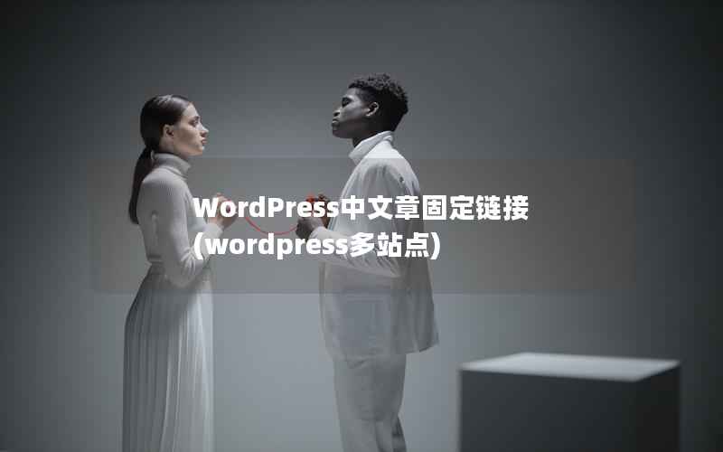 WordPress中文章固定链接，wordpress多站点