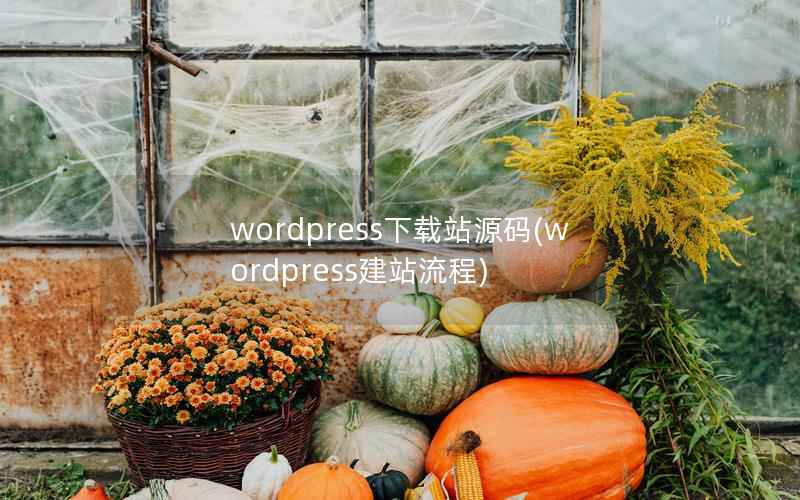 WordPress下载站源码，WordPress建站流程