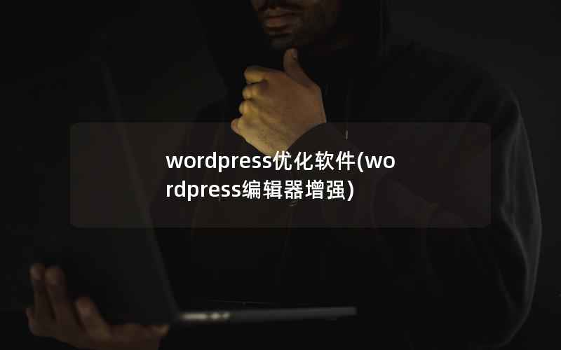 wordpress优化软件，wordpress编辑器增强