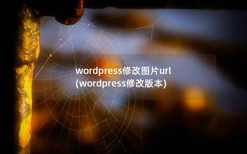 WordPress修改图片url，WordPress修改版本