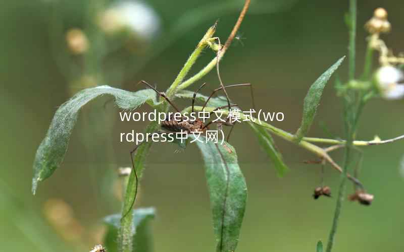 WordPress中文模式，WordPress中文网