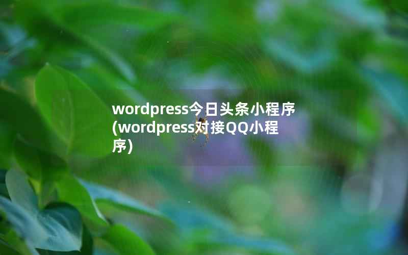 wordpress今日头条小程序，wordpress对接QQ小程序