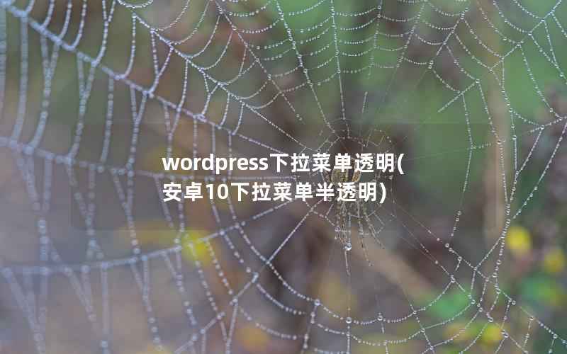 wordpress下拉菜单透明，安卓10下拉菜单半透明