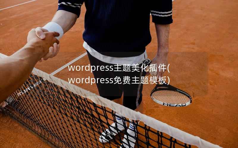 wordpress主题美化插件，wordpress免费主题模板