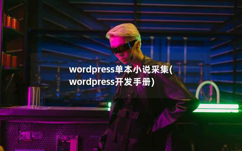 wordpress单本小说采集，wordpress开发手册