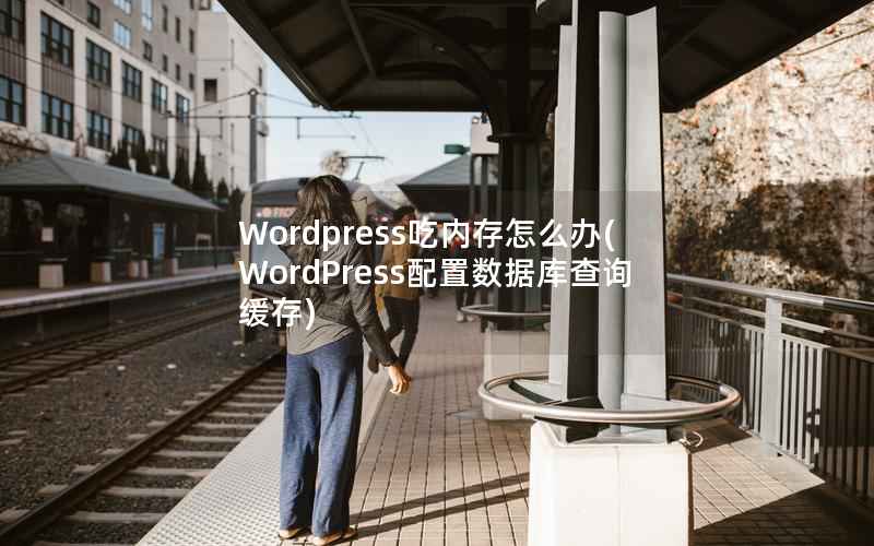 Wordpress吃内存怎么办，WordPress配置数据库查询缓存