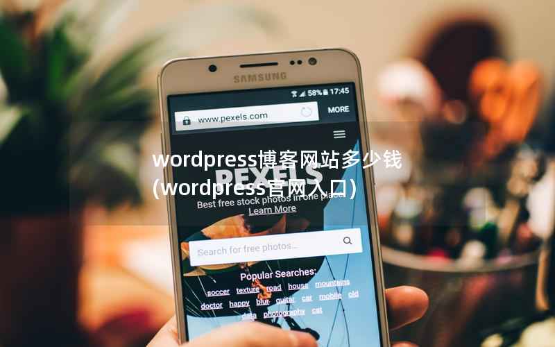 WordPress博客网站多少钱，WordPress官网入口