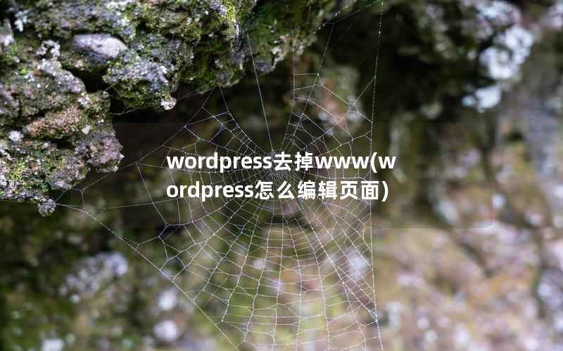 wordpress去掉www，wordpress怎么编辑页面