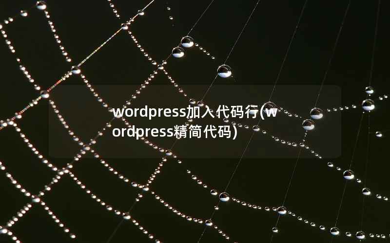 WordPress加入代码行，WordPress精简代码