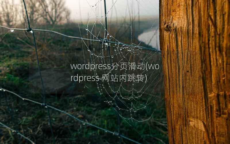 WordPress分页滑动，WordPress 网站内跳转