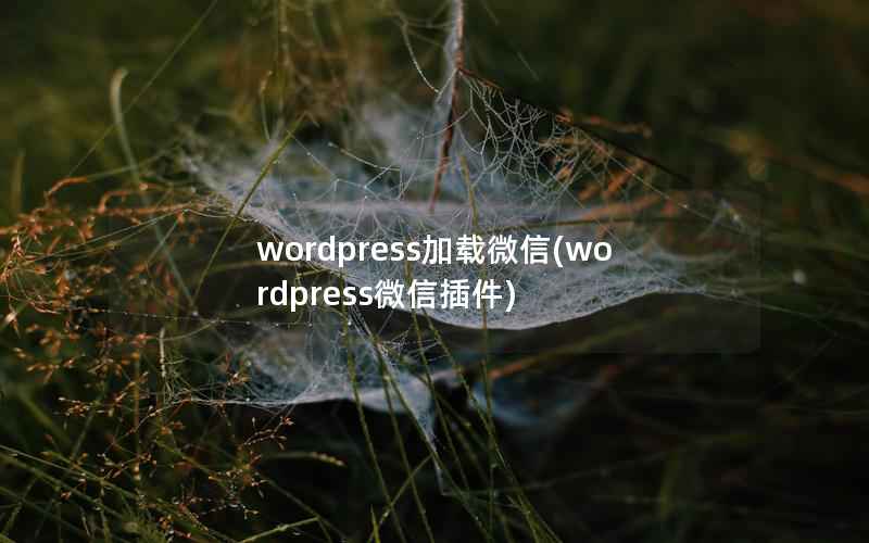 wordpress加载微信，wordpress微信插件
