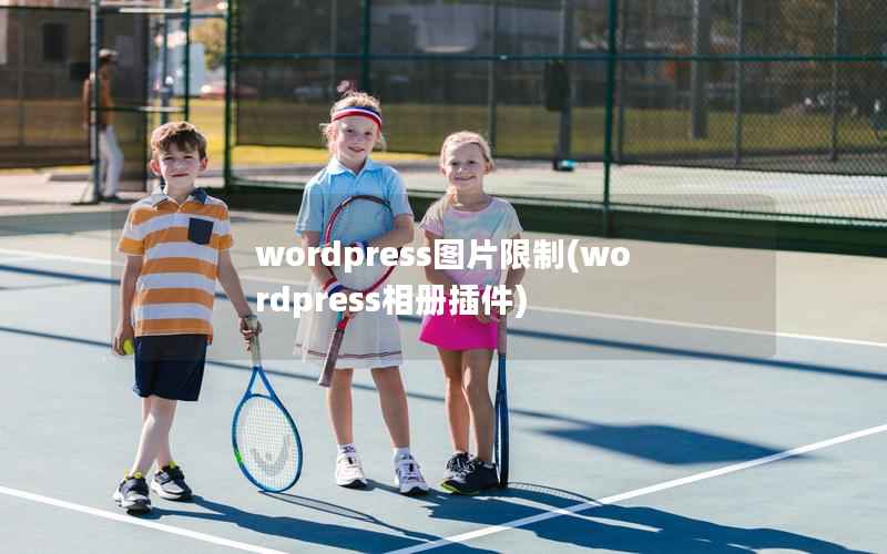 WordPress图片限制，WordPress相册插件