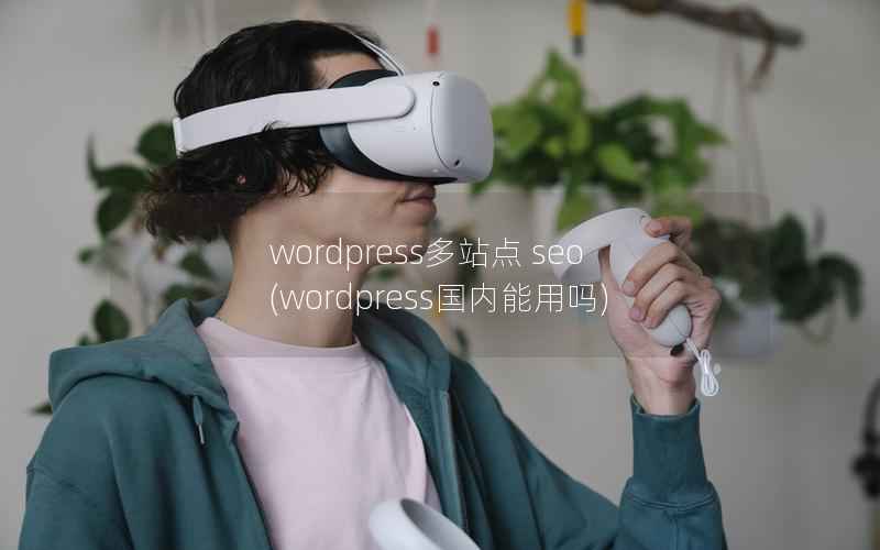 wordpress多站点 seo，wordpress国内能用吗