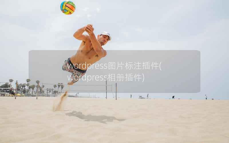 WordPress图片标注插件，WordPress相册插件