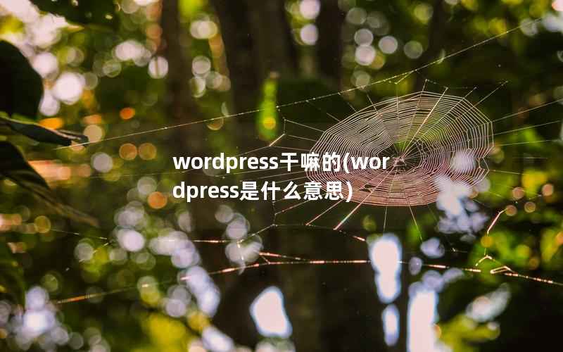 WordPress干嘛的，WordPress是什么意思