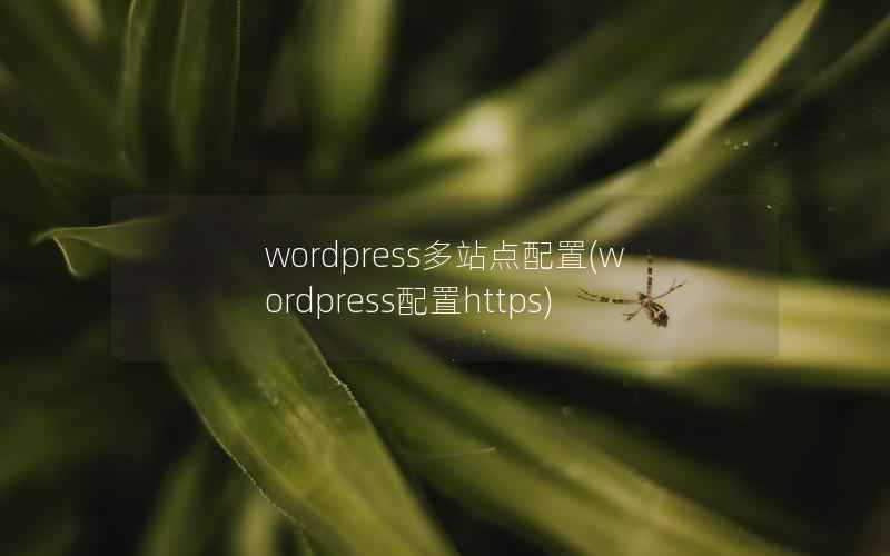 wordpress多站点配置，wordpress配置https