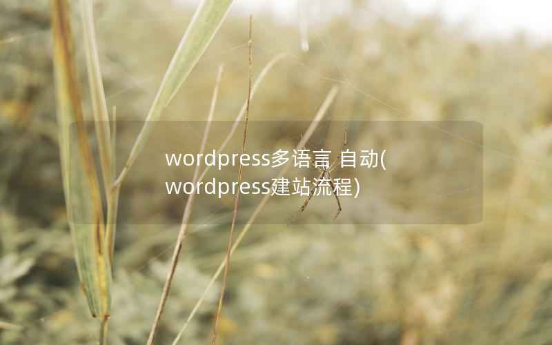 WordPress多语言 自动，WordPress建站流程