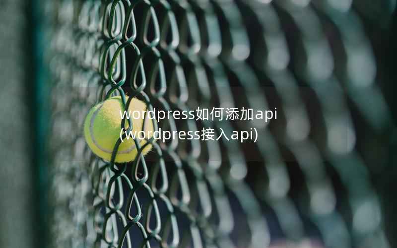 wordpress如何添加api，wordpress接入api