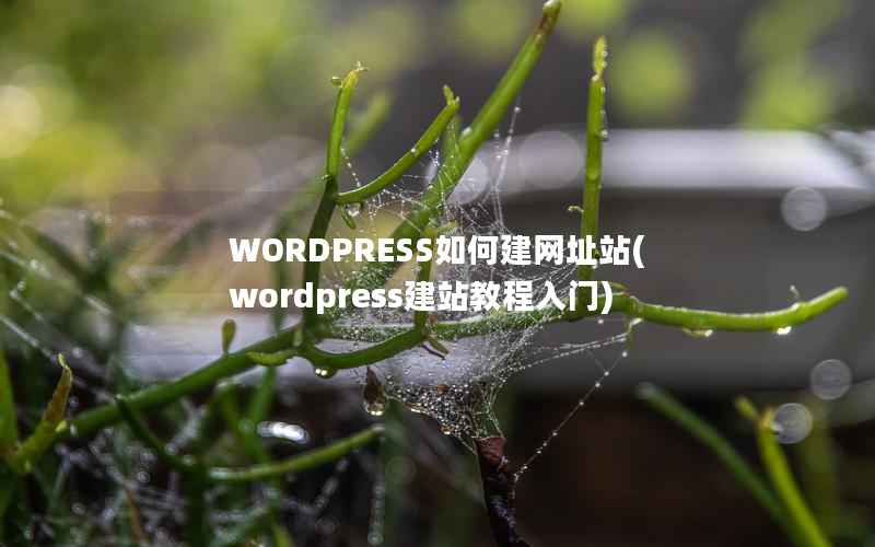 WORDPRESS如何建网址站,wordpress建站教程入门 WORDPRESS如何建网址站,wordpress建站教程入门