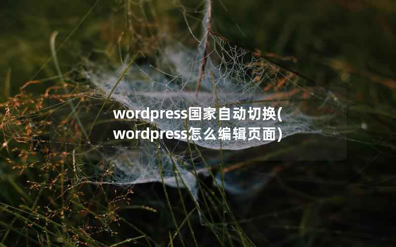 WordPress国家自动切换，WordPress怎么编辑页面