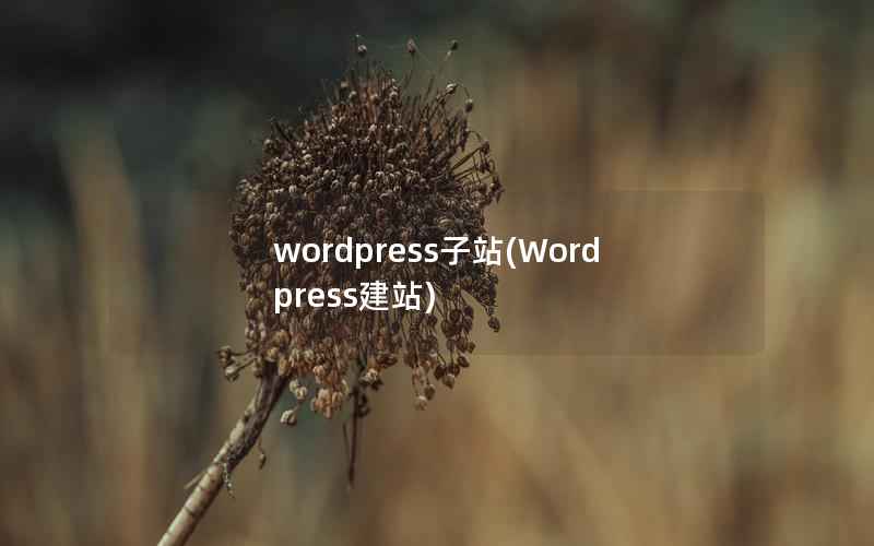 wordpress子站，Wordpress建站