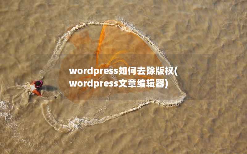 WordPress如何去除版权，WordPress文章编辑器