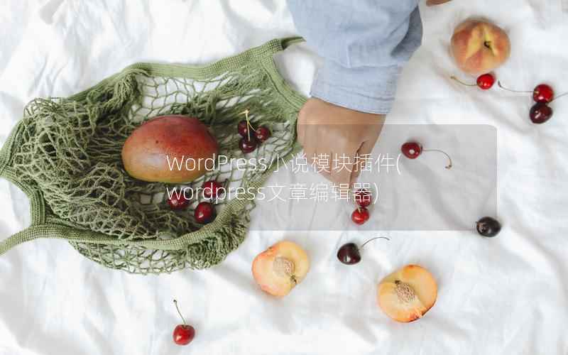 WordPress小说模块插件，WordPress文章编辑器