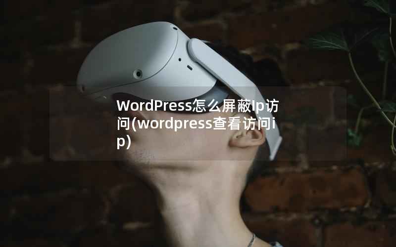 WordPress怎么屏蔽Ip访问，WordPress查看访问ip