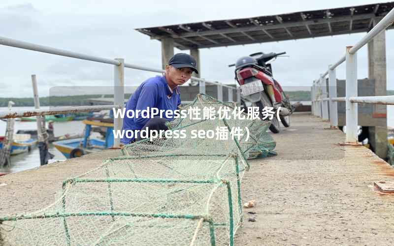 WordPress性能优化服务，WordPress seo插件