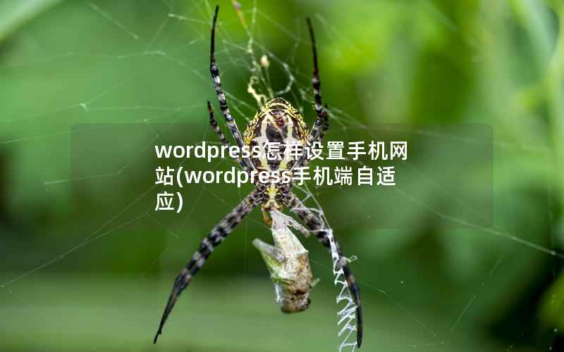 WordPress怎样设置手机网站，WordPress手机端自适应