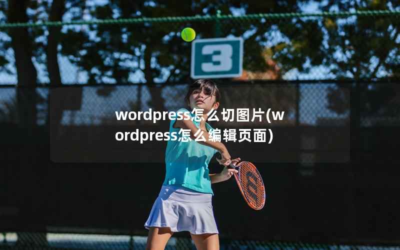 wordpress怎么切图片，wordpress怎么编辑页面