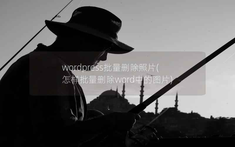 wordpress批量删除照片,怎样批量删除word中的图片 wordpress批量删除照片,怎样批量删除word中的图片