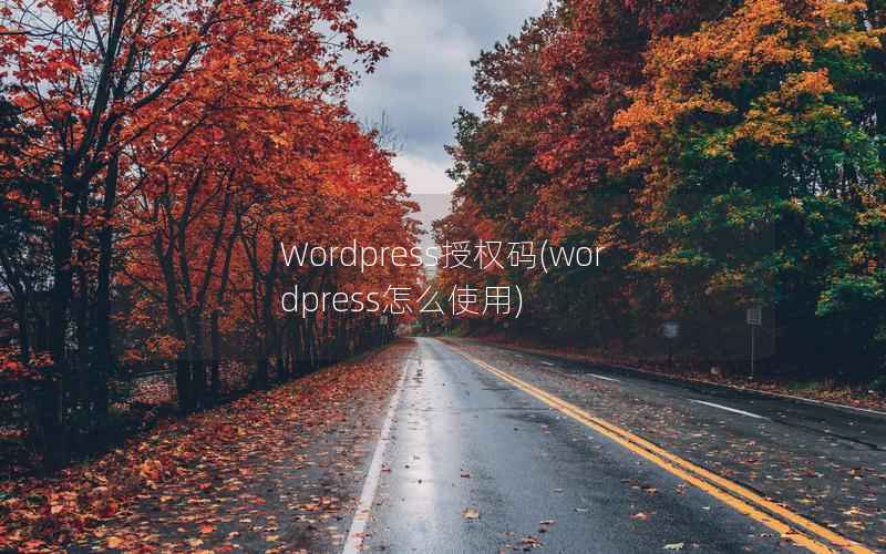 Wordpress授权码，WordPress怎么使用