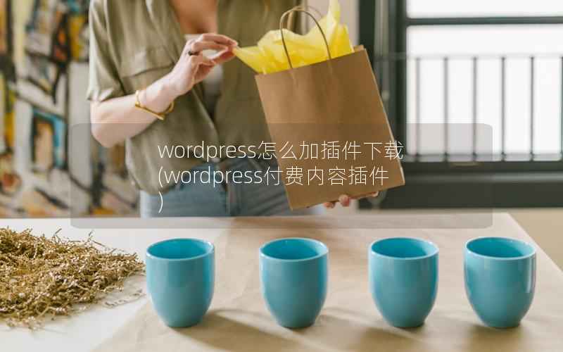 WordPress怎么加插件下载，WordPress付费内容插件
