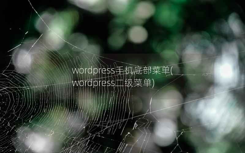 WordPress手机底部菜单，WordPress二级菜单